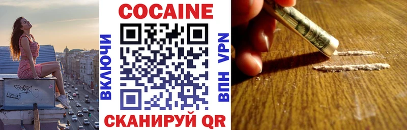 Купить закладки  Богородицк  Cocaine 97% 