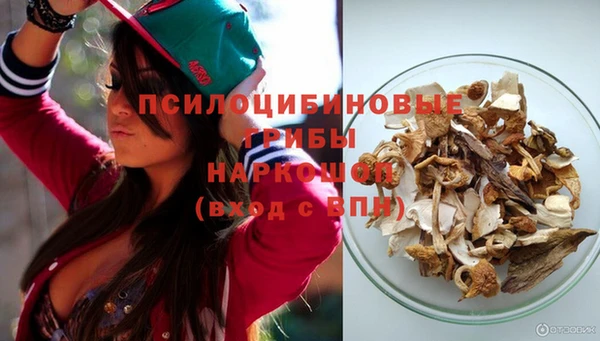 спайс Карталы