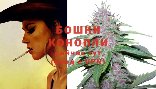 2c-b Карпинск