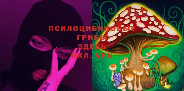 спайс Карталы