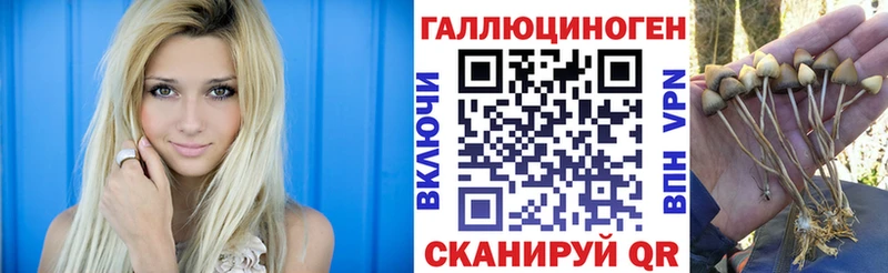 Псилоцибиновые грибы прущие грибы  Купить закладки  Богородицк 